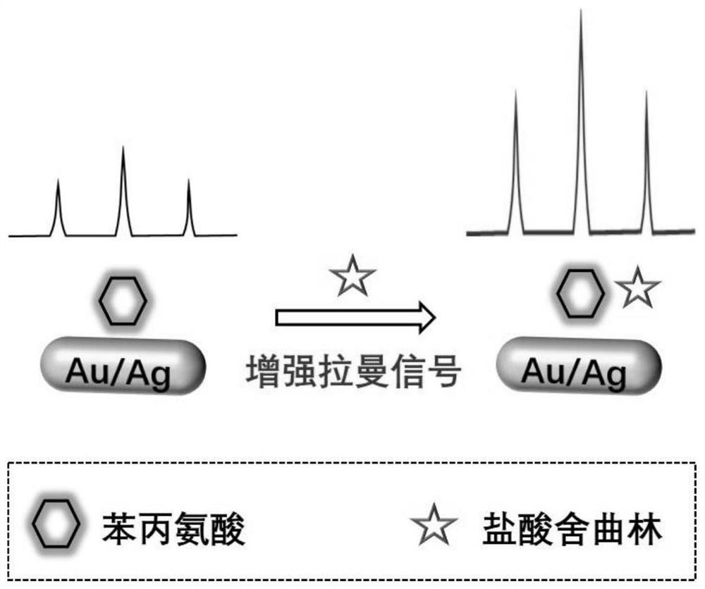 Raman spectrum detection method of phenylalanine enantiomer