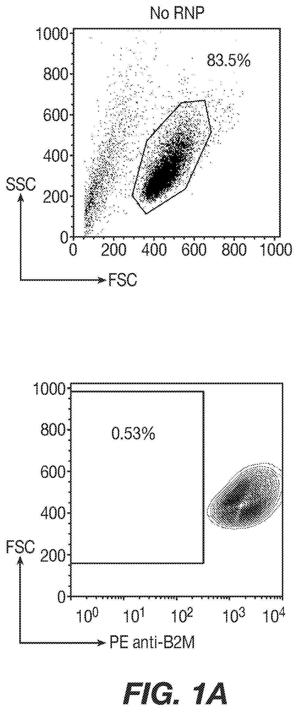 Immortalized car-t cells genetically modified to eliminate t-cell receptor and beta 2-microglobulin expression