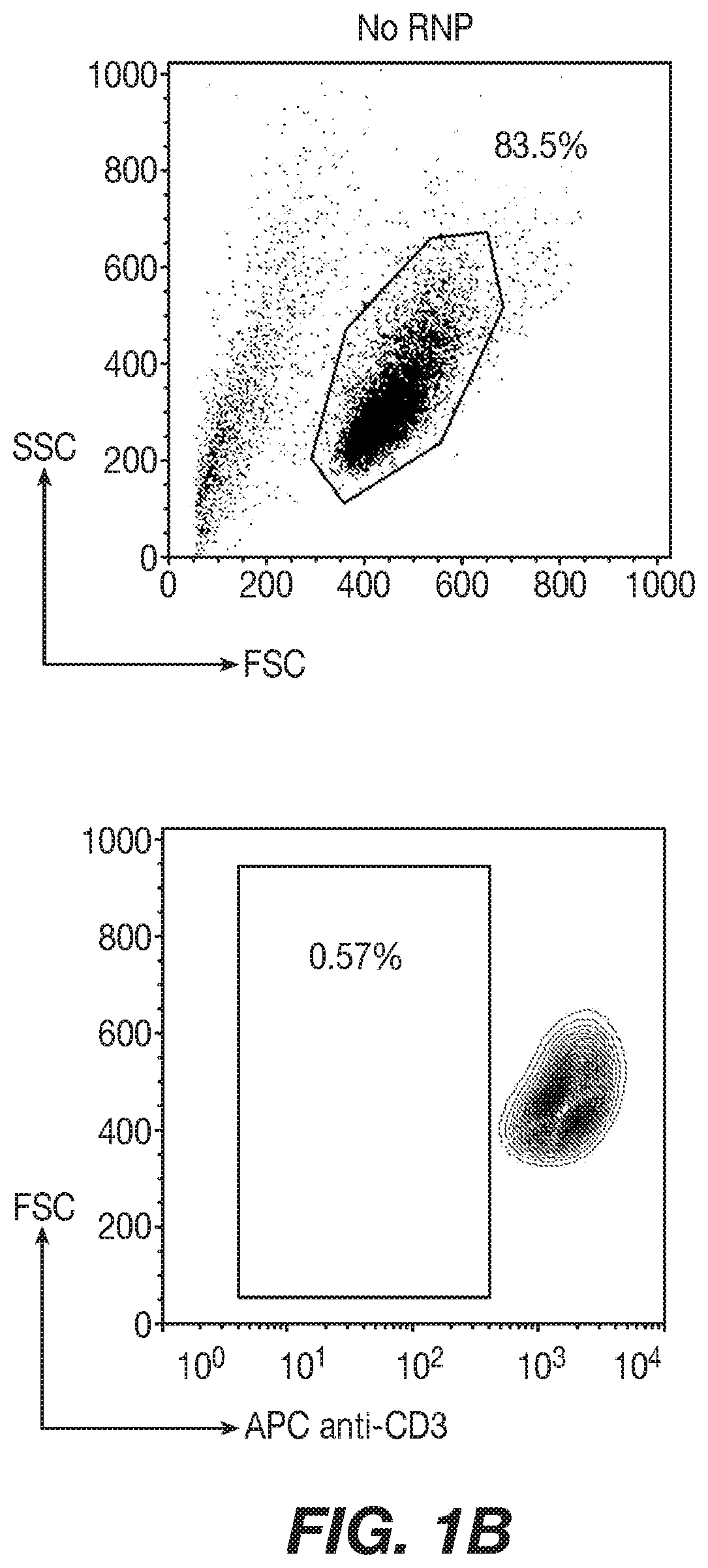 Immortalized car-t cells genetically modified to eliminate t-cell receptor and beta 2-microglobulin expression