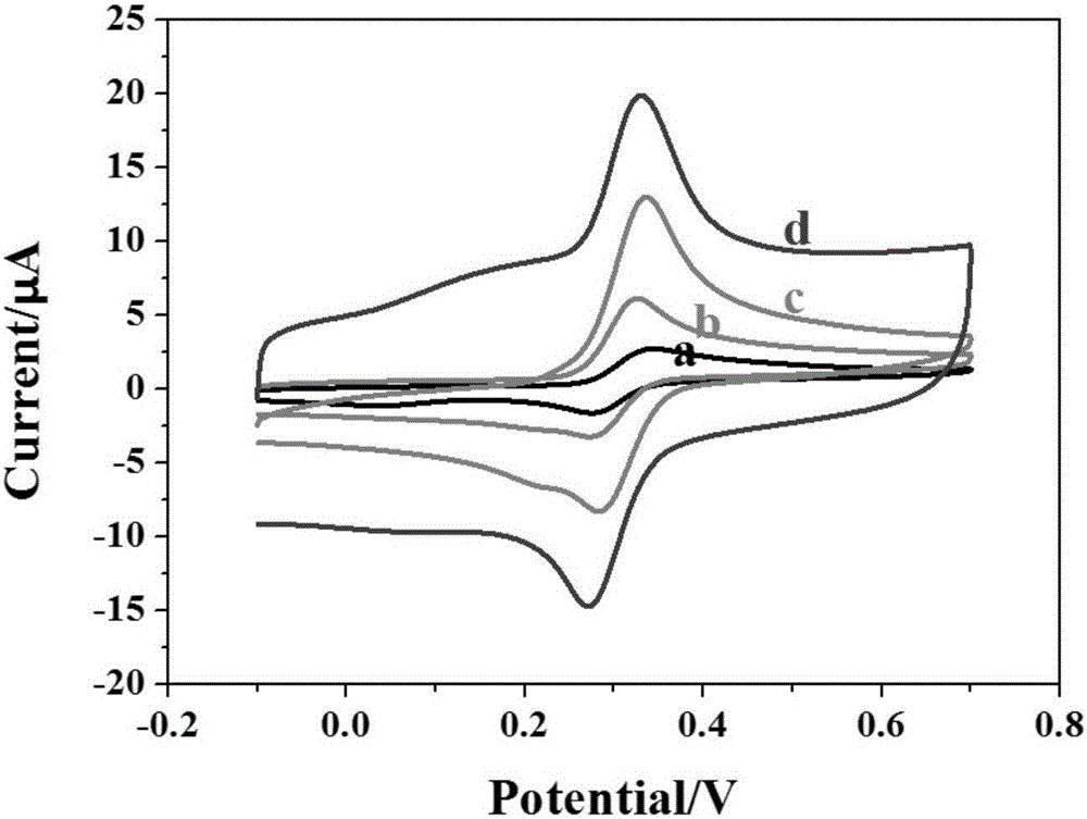 High-sensitivity phenol electrochemical sensor and preparation method thereof