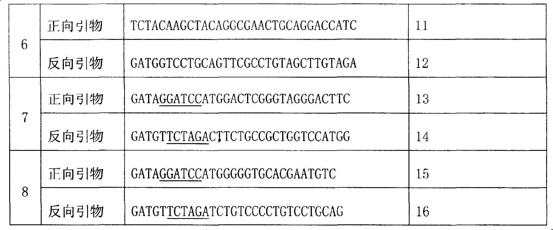 Protein for promoting erythrocyte growth factor activity and its use