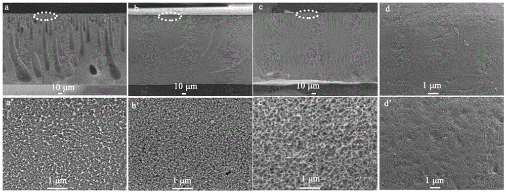 Porous membrane for flow battery and with hierarchical pore structure, and preparation and application thereof