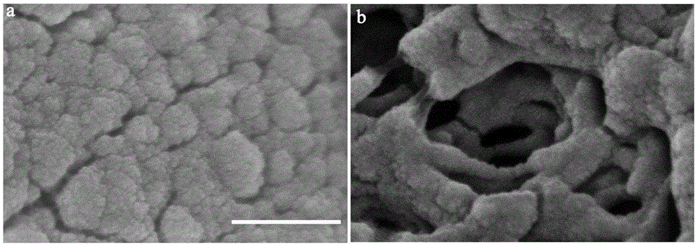 Porous membrane for flow battery and with hierarchical pore structure, and preparation and application thereof