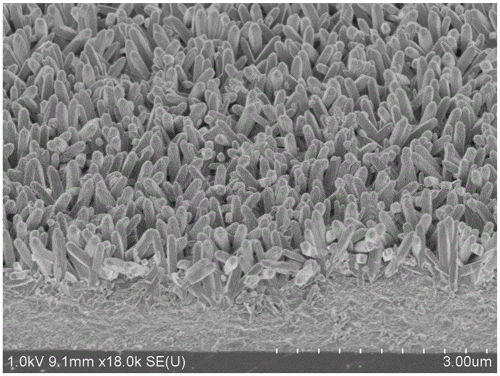 Si-TiO2-PANI (silicon-titanium dioxide-polyaniline) composite material assembled based on ternary hierarchy and application thereof