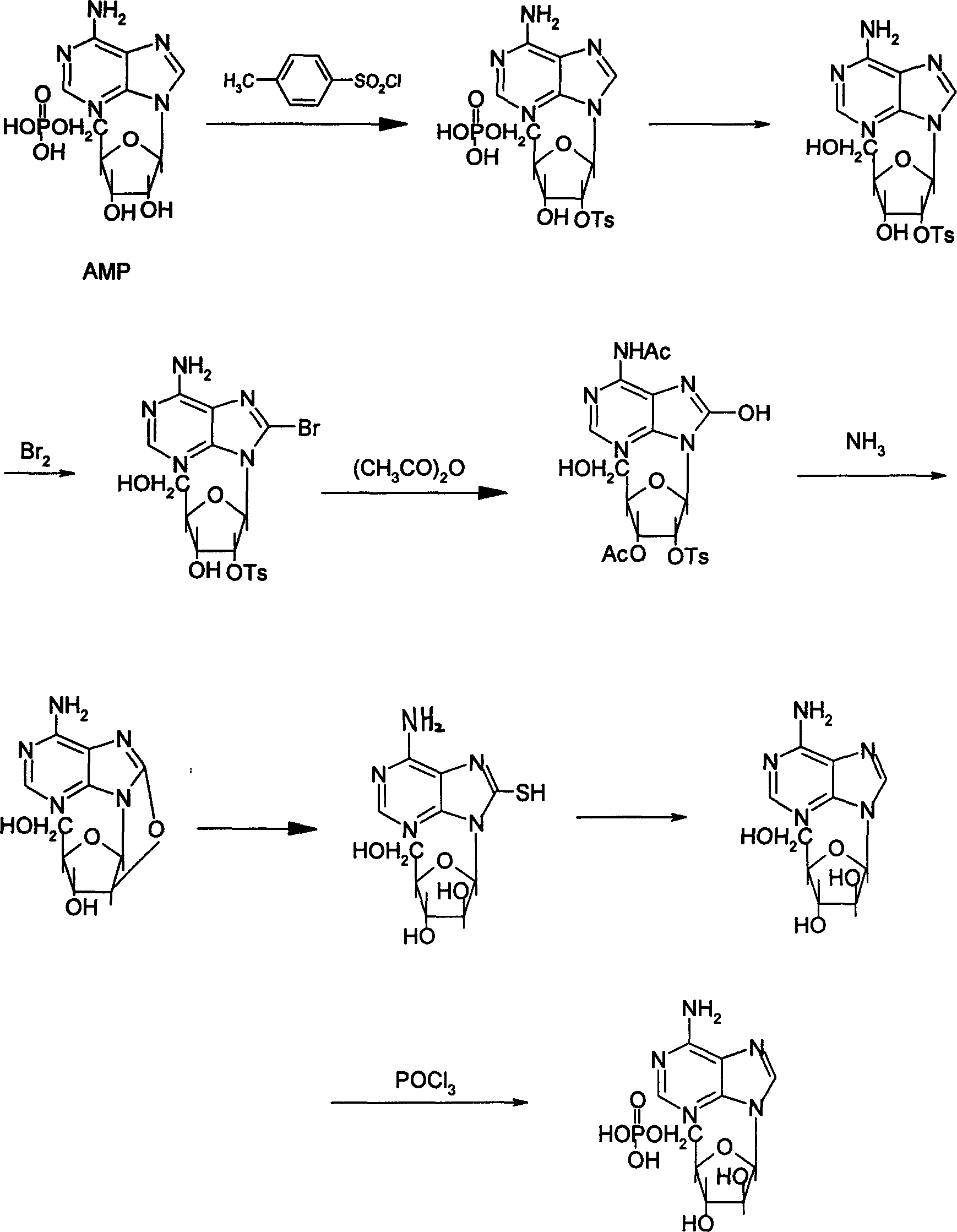 Synthesis process of adenosine aose monophosphate