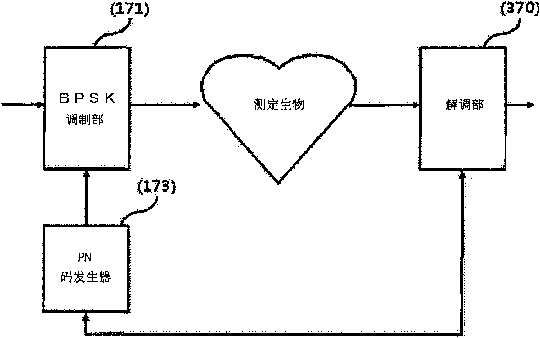 Apparatus and method for measuring bio-impedance