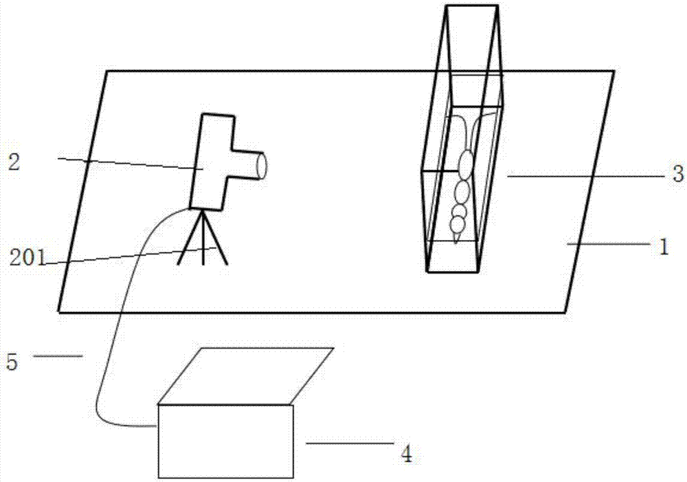 Penaeus orientalis measurement system and measurement method thereof