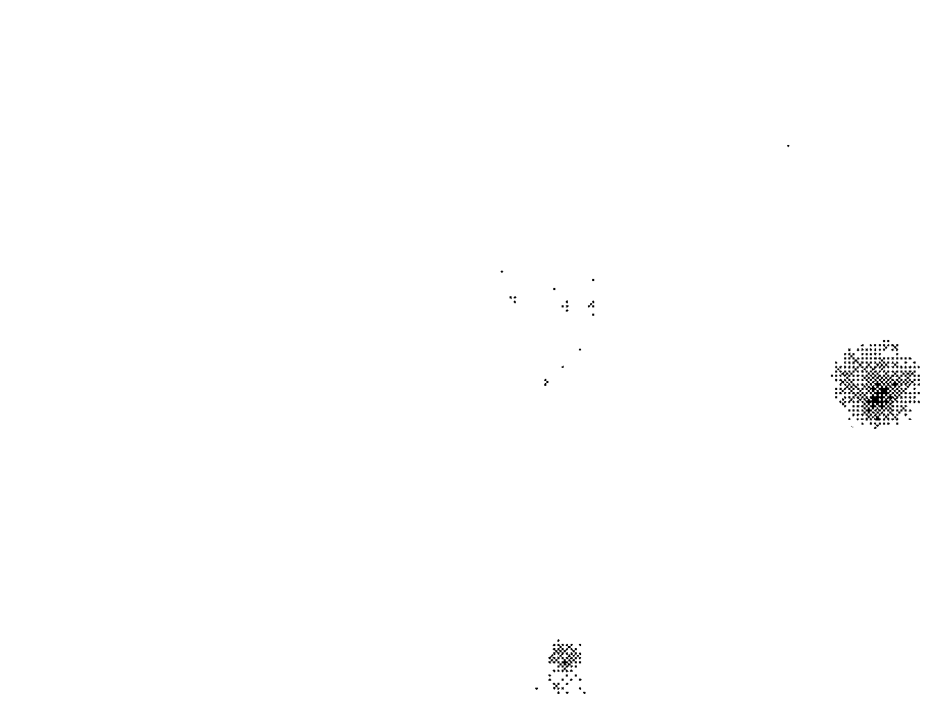 Chromosome slide preparing method