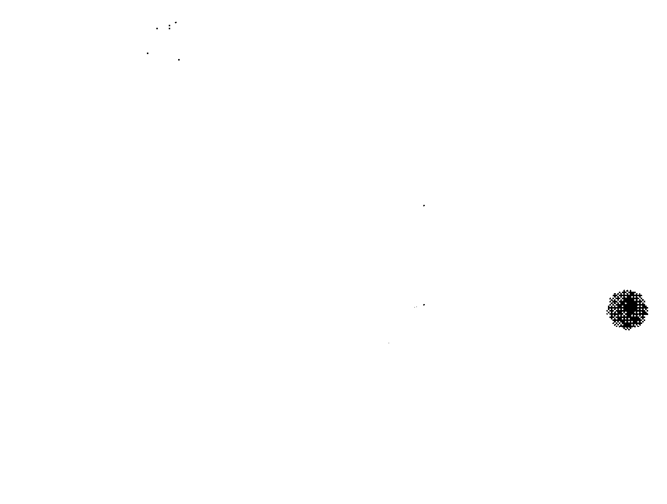 Chromosome slide preparing method