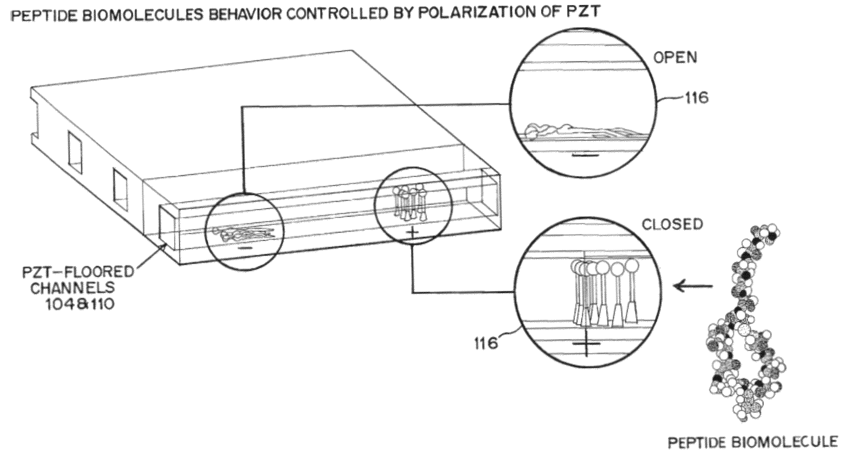 Multi-layer micro/nanofluid devices with bio-nanovalves