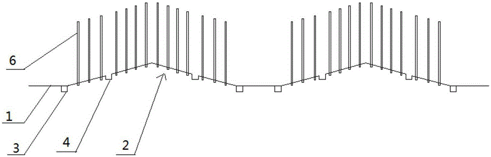 Soil preparation model with easy draining and machinery seedling lifting, and peach seedling cultivation method