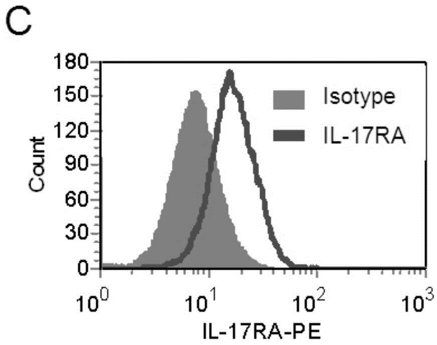 Application of IL-17 in improving mesenchymal stem cell immunity inhibition function