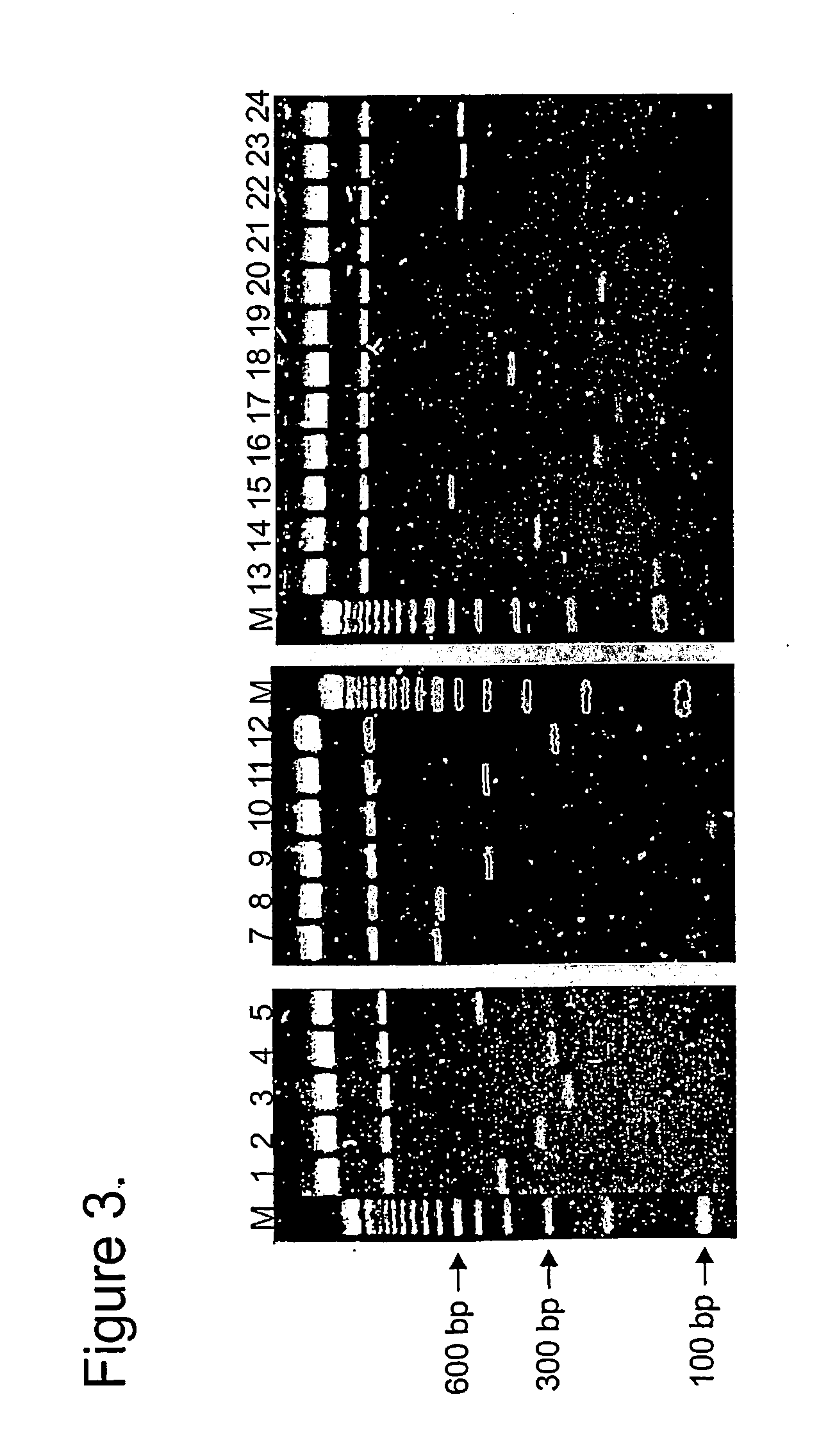 Method and materials for producing deletion derivatives of polypeptides