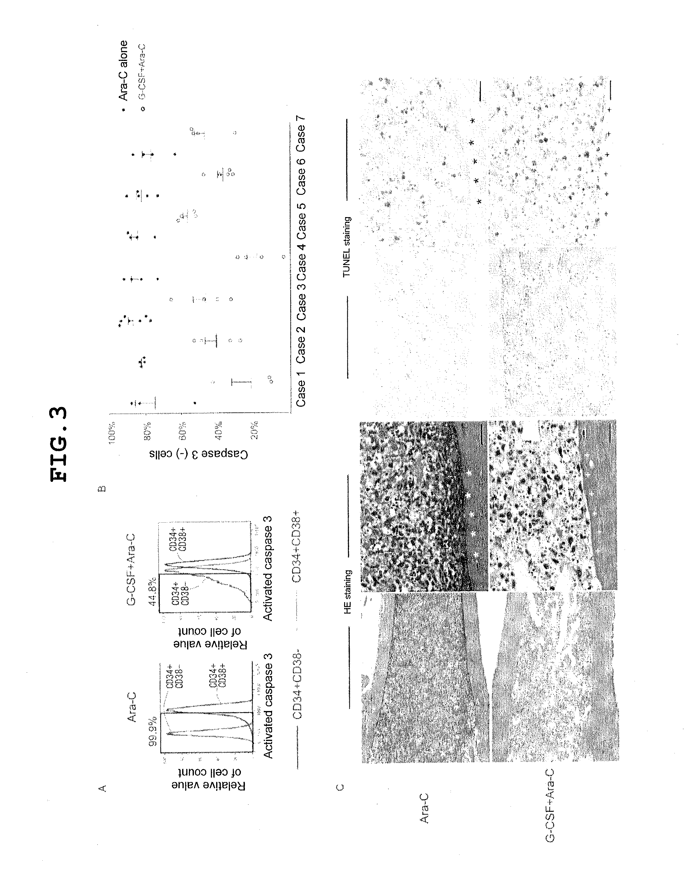 Agent for preventing recurrence of leukemia