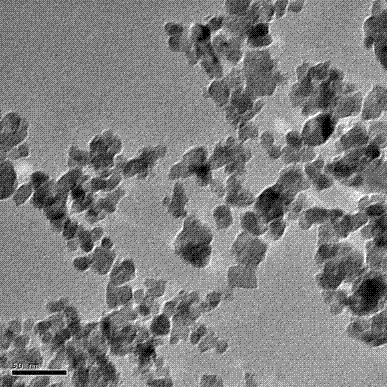 New method for preparing monoclinic structure ZnZrNb2O8 microwave dielectric ceramic through low temperature sintering