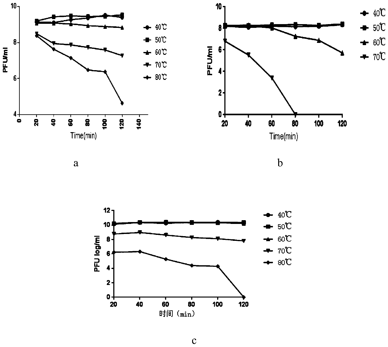 Combined bacteriophage preparation for treating piglet diarrhea