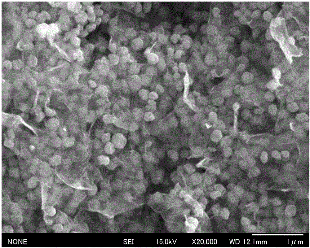 Method for preparing graphene-ferric oxide-graphene composite structure battery negative electrode material