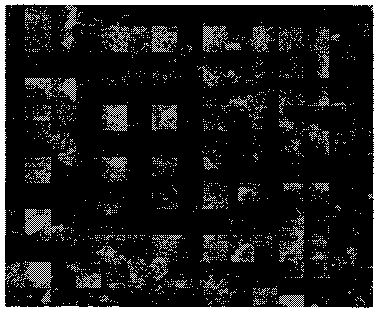 Nickel ion and solvent regulated interface rapid controllable preparation method of cuprous bromide nanocrystal material