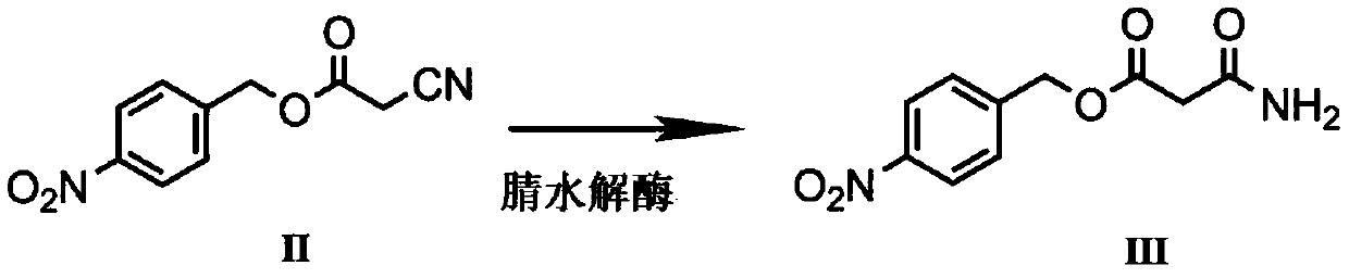 A kind of biological preparation method of p-nitrobenzyl alcohol malonate monoester