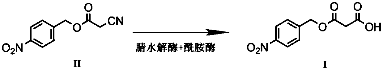 A kind of biological preparation method of p-nitrobenzyl alcohol malonate monoester