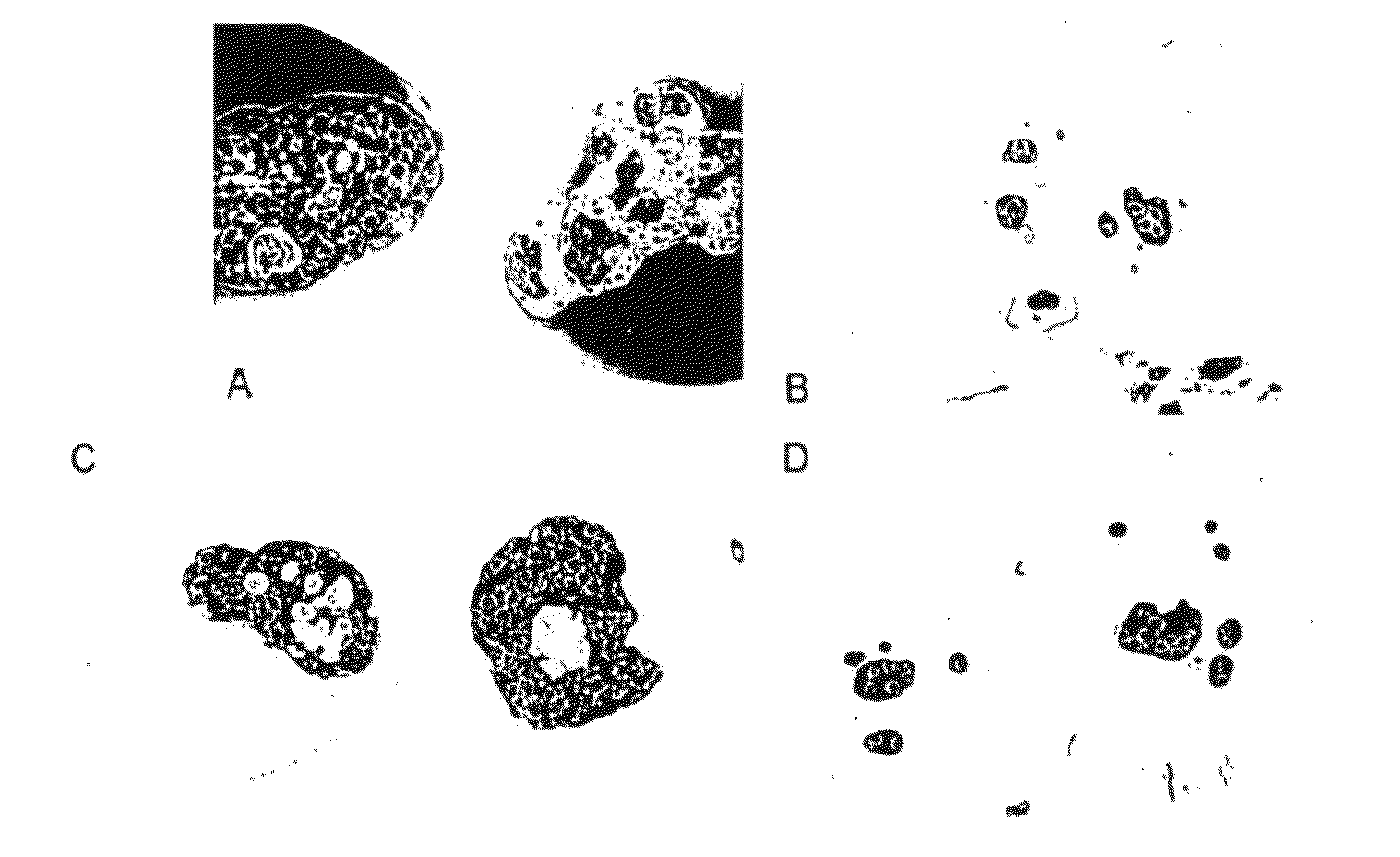 Encapsulated pancreatic islet cell products and methods of use thereof