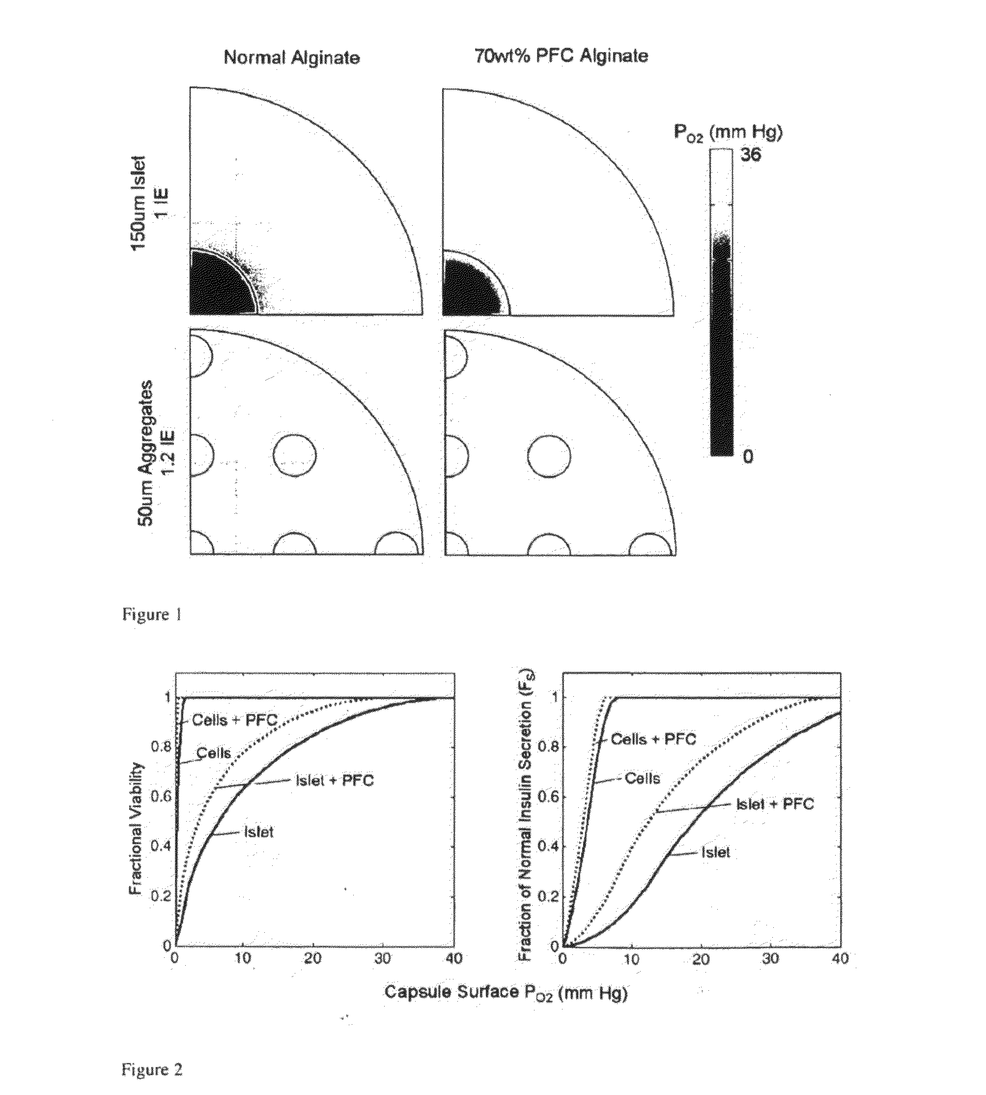 Encapsulated pancreatic islet cell products and methods of use thereof