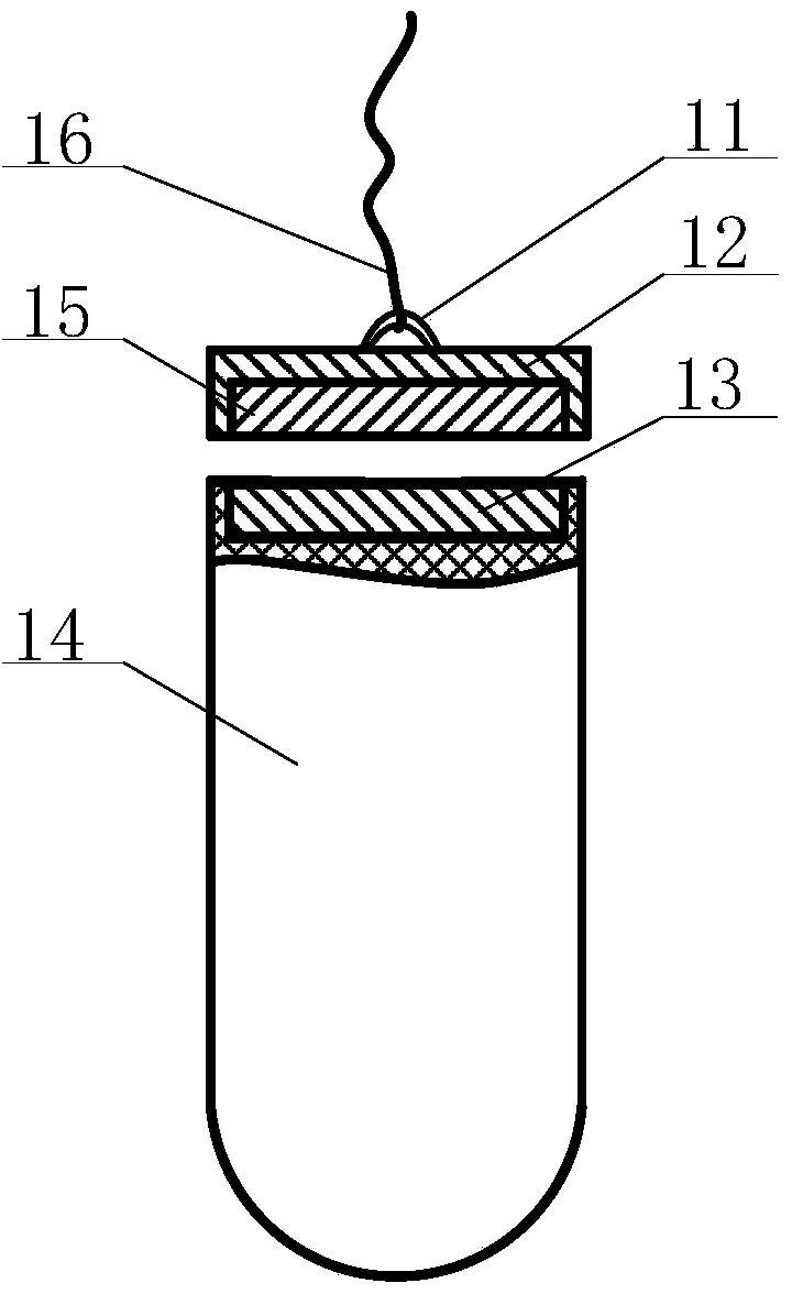 Traction type capsule endoscopy