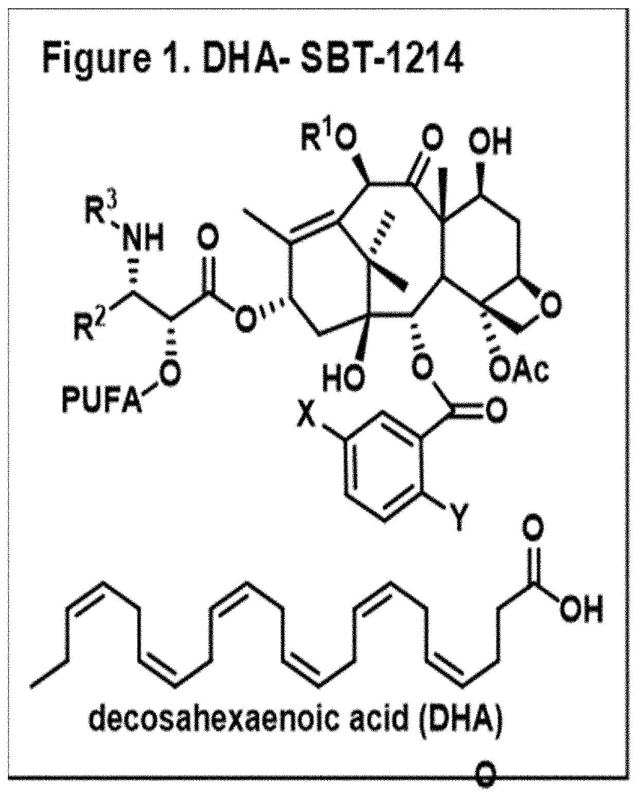 Combination taxoid nanoemulsion with immunotherapy in cancer