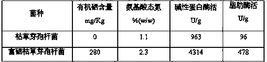 Selenium-enriched bacillus subtilis zymolyte and preparation method thereof