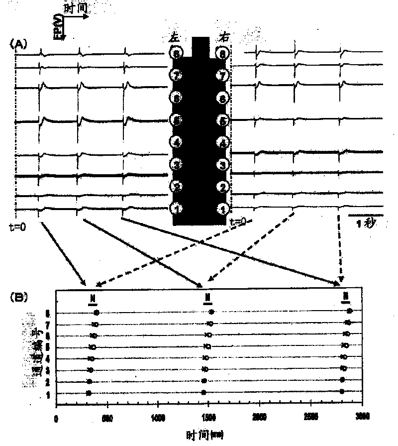 Cardiac reentry model chip and apparatus and method for evaluating drug using the cardiac reentry model chip