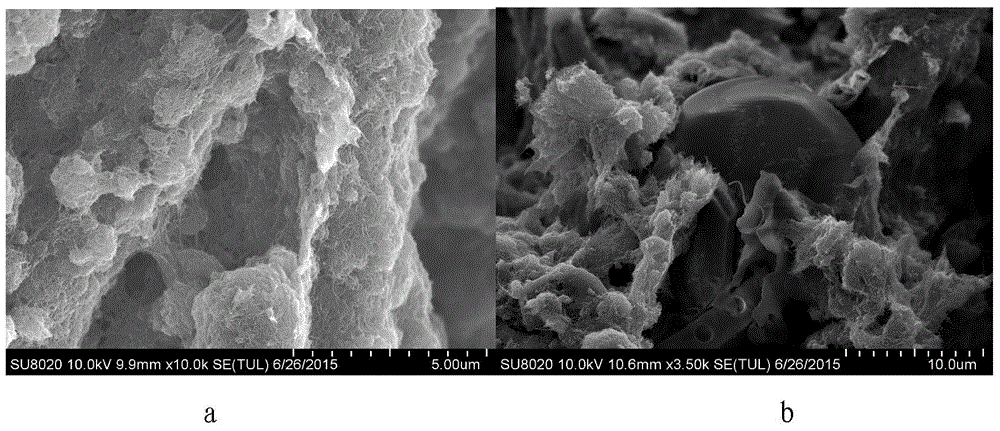 Lightweight conductive shielding composite material and preparation method thereof