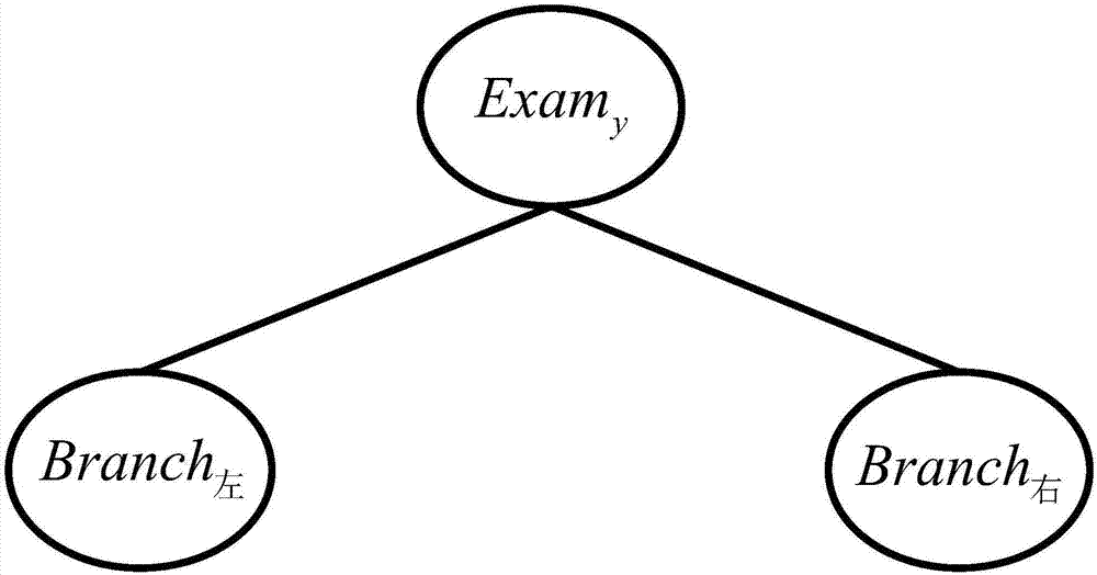 Pregnancy outcome influence factor assessment method based on relative risk decision-making tree model