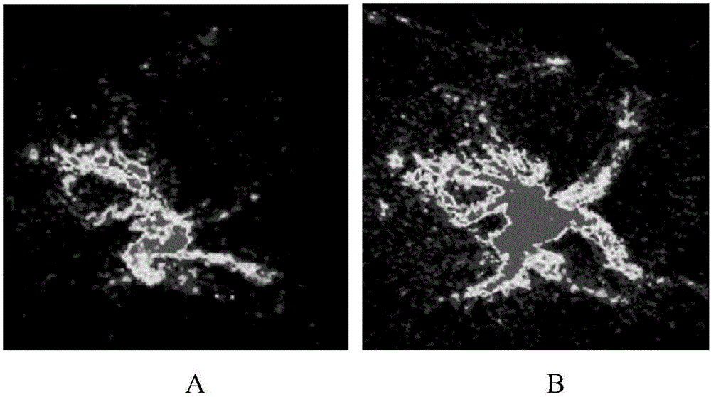 Nanometer medicine-loaded micelle, nanometer anticancer medicine, methods for preparing nanometer medicine-loaded micelle and nanometer anticancer medicine and application of nanometer medicine-loaded micelle and nanometer anticancer medicine