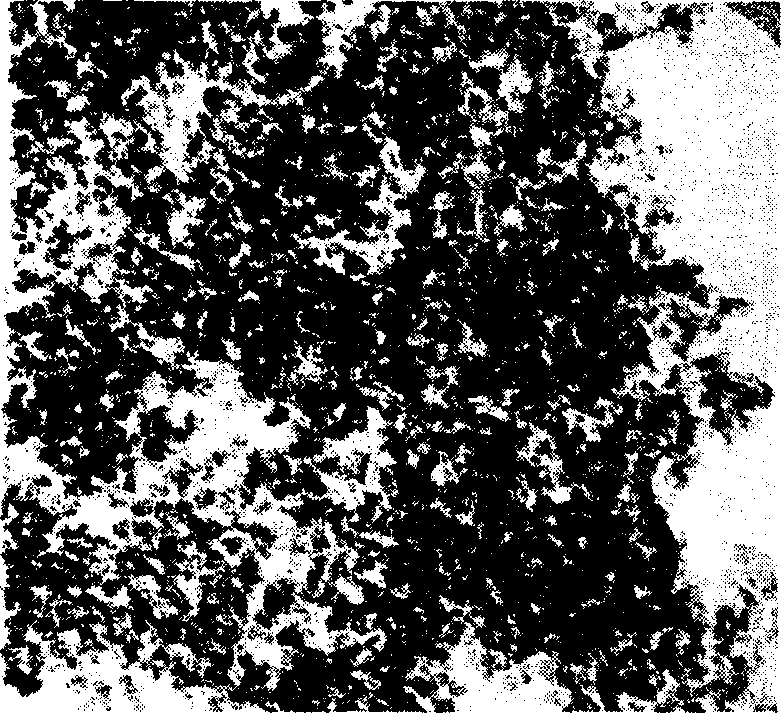 Preparation method of active nano-aluminium oxide for coating