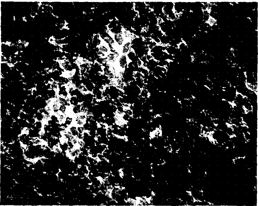 Preparation method of active nano-aluminium oxide for coating