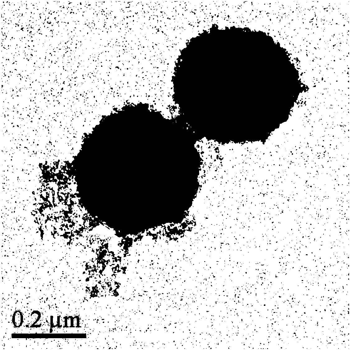 A composite magnetic nanoparticle fe3o4/mps/paa/nta-ni2+ and its preparation method and its application in the separation and purification of histidine-tagged proteins