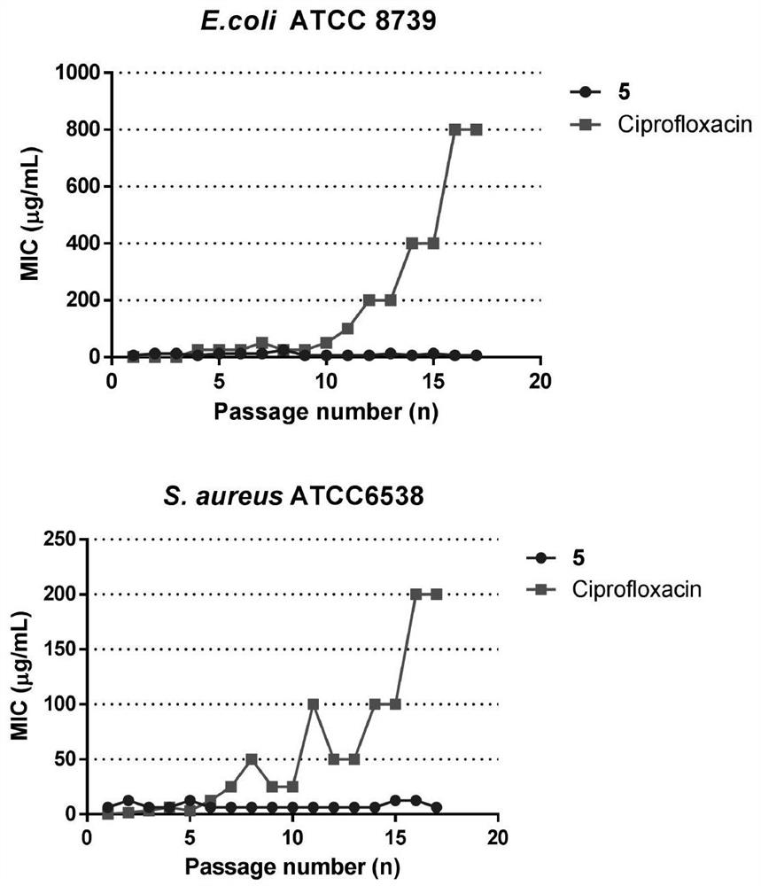 A kind of cyclic antimicrobial peptide analogue rich in positive charge and its application