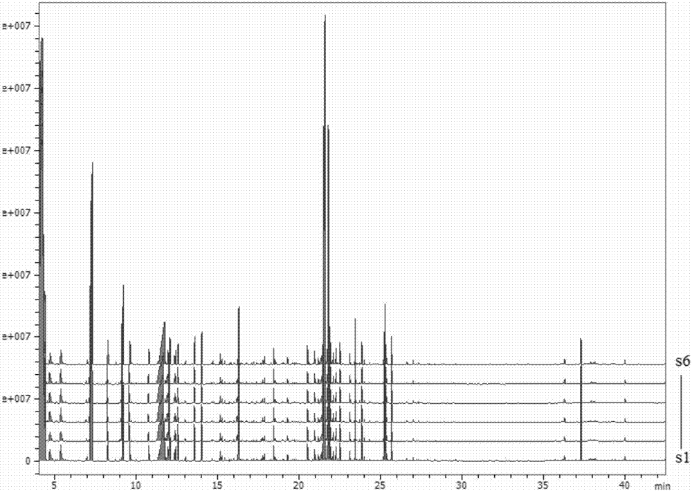 GC-MS (Gas Chromatography-Mass Spectrometer) combined technology-based metabonomics research method for resistance of asarum and red peony root composition to cerebral ischemia-reperfusion injury