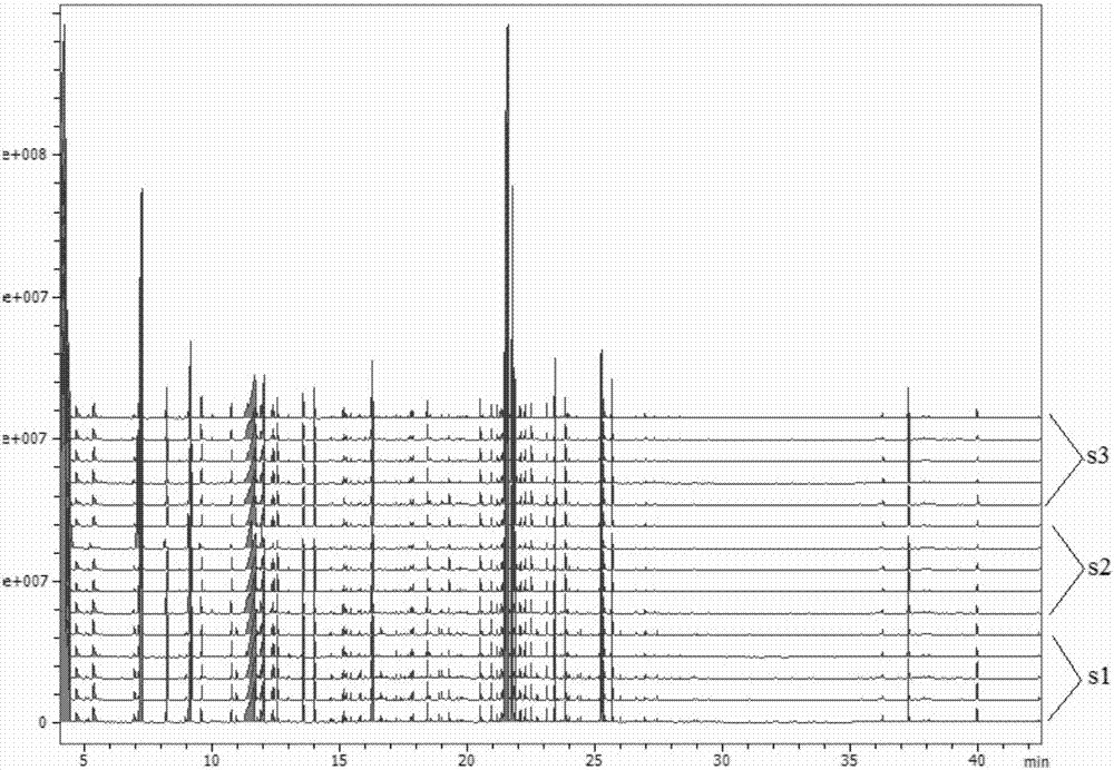 GC-MS (Gas Chromatography-Mass Spectrometer) combined technology-based metabonomics research method for resistance of asarum and red peony root composition to cerebral ischemia-reperfusion injury