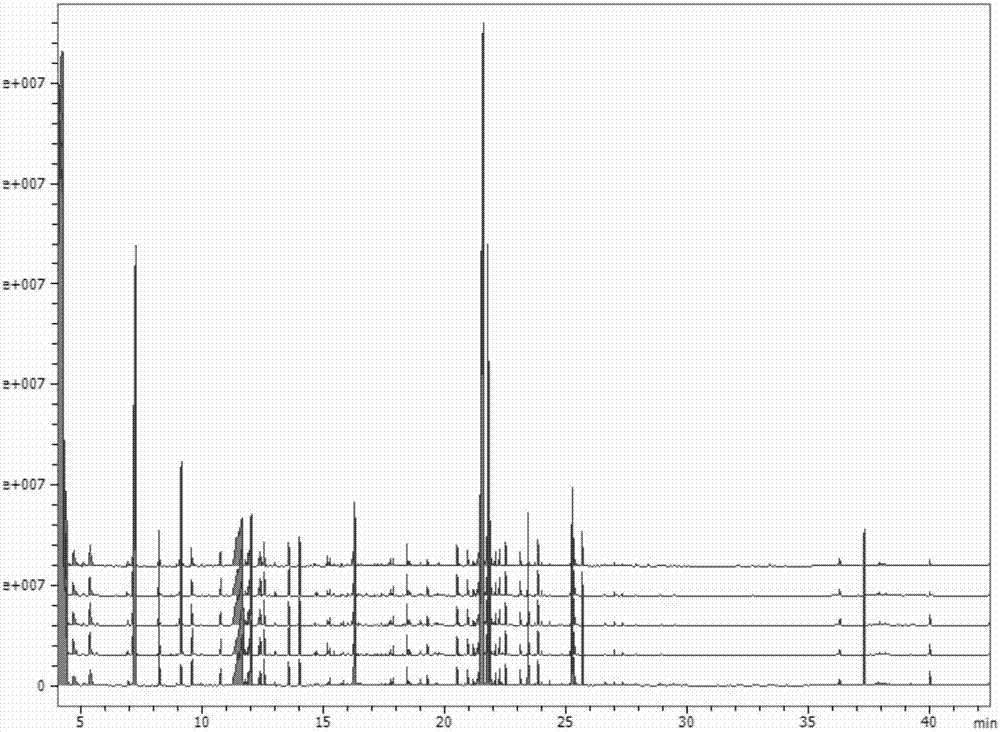 GC-MS (Gas Chromatography-Mass Spectrometer) combined technology-based metabonomics research method for resistance of asarum and red peony root composition to cerebral ischemia-reperfusion injury