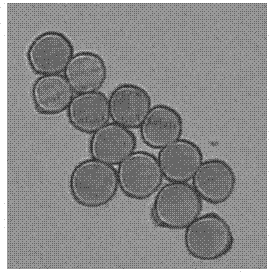 Semi-dull low-extensibility viscose fiber as well as preparation method and application thereof