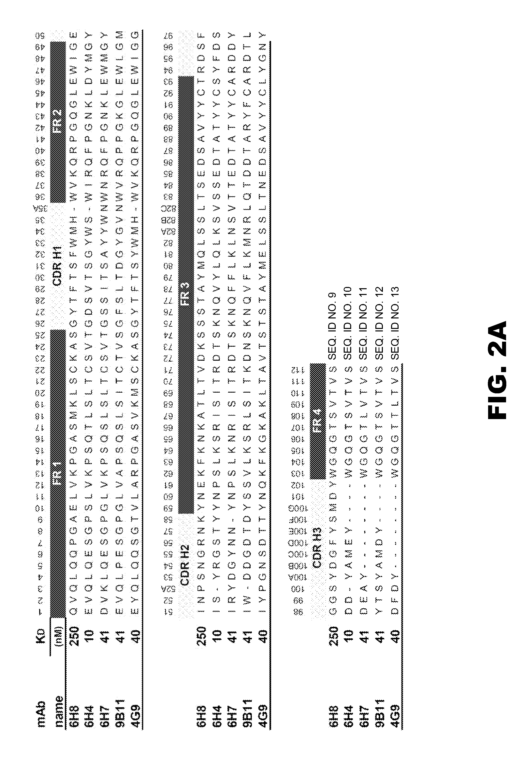 Monoclonal antibodies that selectively recognize methamphetamine and methamphetamine like compounds