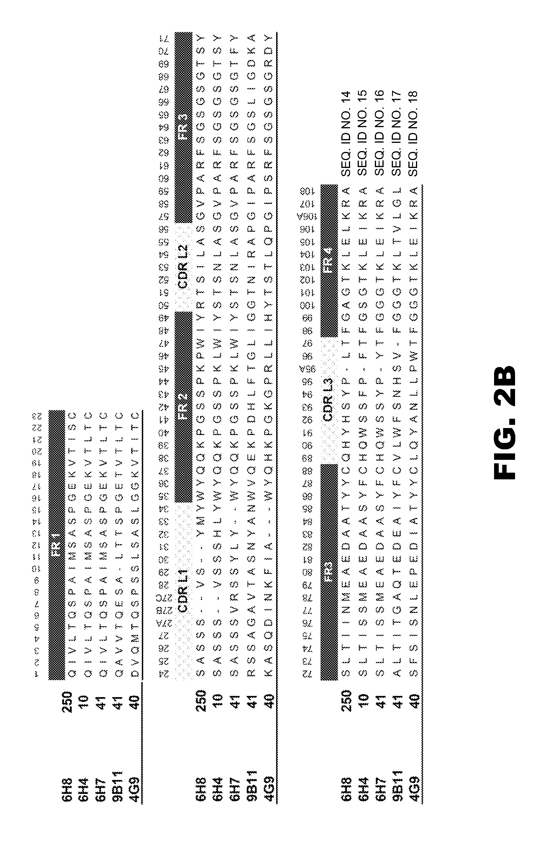 Monoclonal antibodies that selectively recognize methamphetamine and methamphetamine like compounds