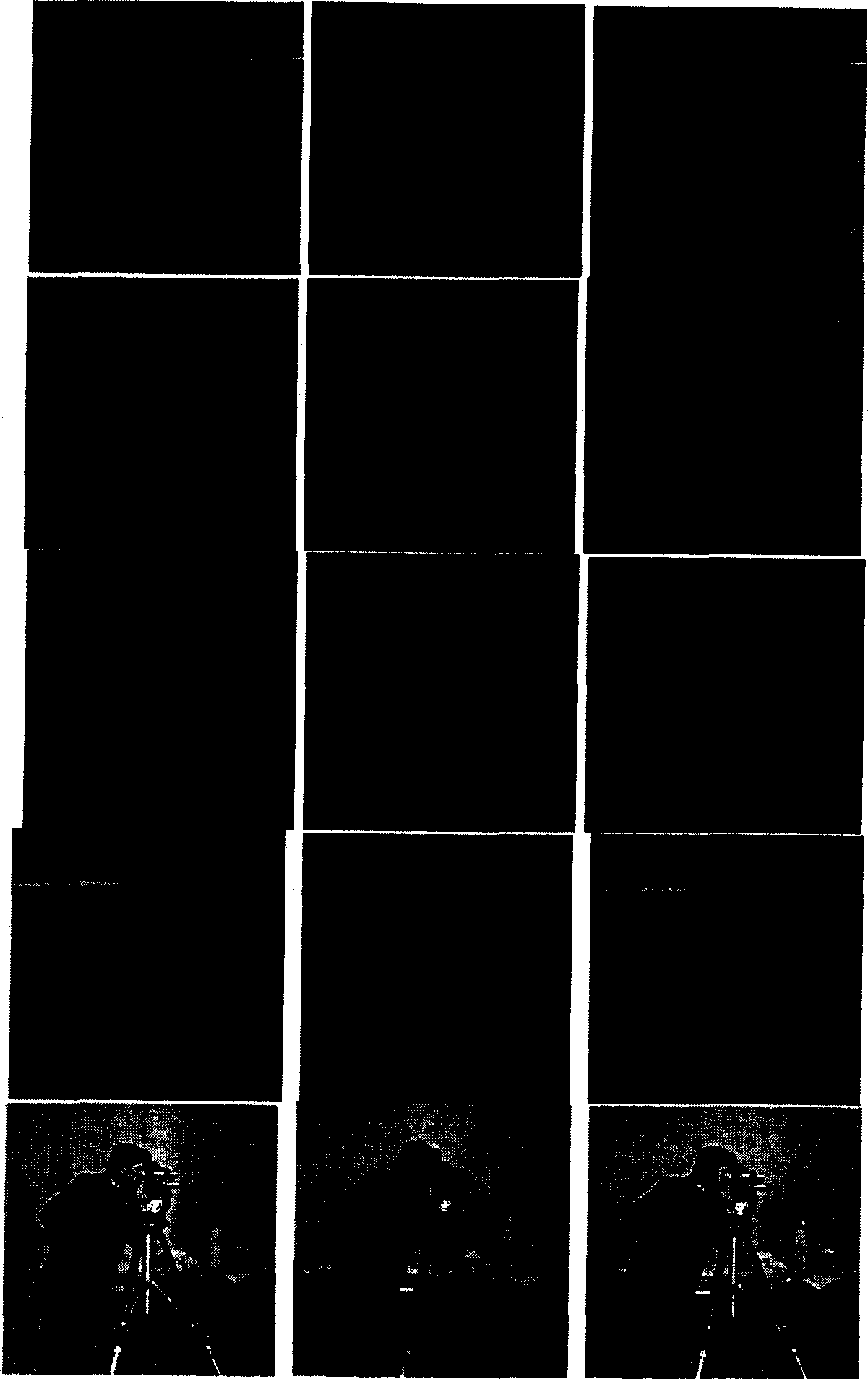 Multisensor image fusion method based on optimized small wave filter set