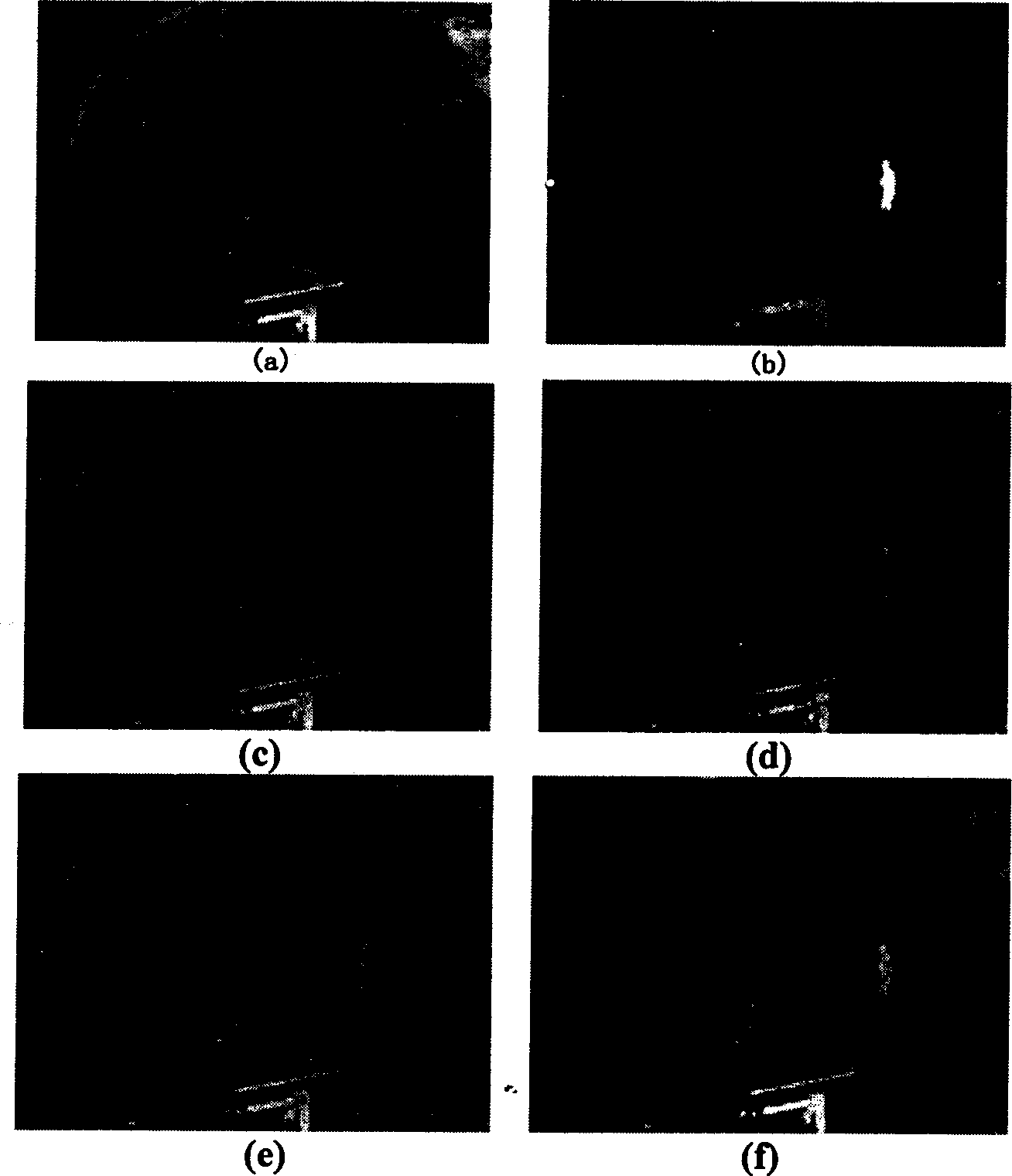 Multisensor image fusion method based on optimized small wave filter set