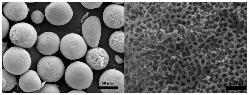 Preparation method of lithium iron phosphate/carbon nanotube microsphere positive electrode material, positive electrode material and optimization method of aqueous lithium ion capacitor