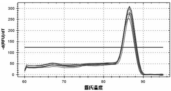 Primers, kits and methods for RT-qPCR detection of liver purine nucleoside phosphatase PNP gene transcription level in macaques