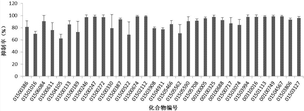 High-throughput screening method and application of respiratory syncytial virus resisting drug