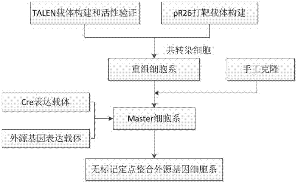 Multiple-exchange unmarked site-specific integration transgenic system and application thereof