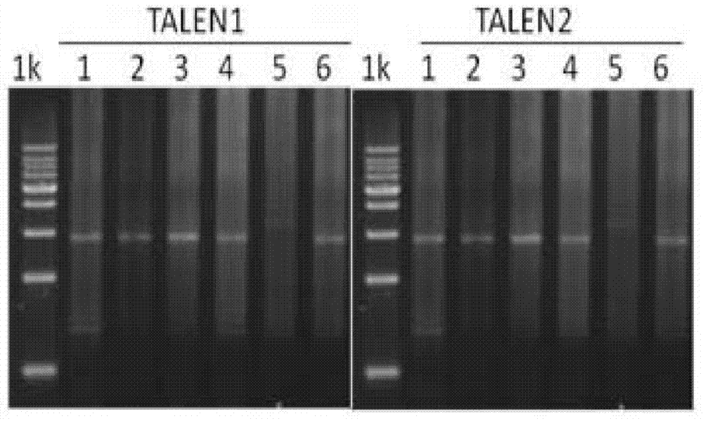 Multiple-exchange unmarked site-specific integration transgenic system and application thereof